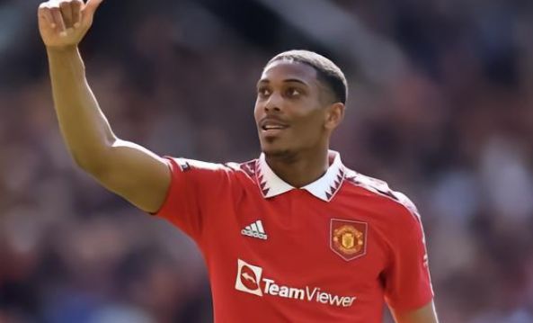 足球的观赏 足球的观赏